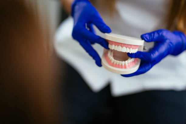 Reliable East Missoula, MT Dental Services Solutions